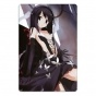 ������ ��������� ������������� Accel World 310411