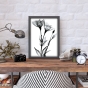     - X-Ray Flowers