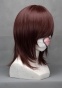������� ����� Vocaloid - Meiko / Vampire Knight - Kuran Yuuki