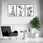     - X-Ray Flowers