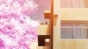  / Kuzu no Honkai