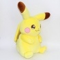 ������ �������-������� Pokemon