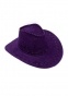  Purple Cowboy Hat