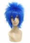 ������� ����� Vocaloid Kaito V-Home