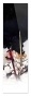 �������� Fate Stay Night Saber black and white