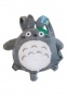   Totoro 57086