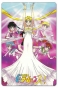 ������ ��������� ������������� Bishoujo Senshi Sailor Moon 304826