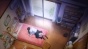       / Kimi no Suizou wo Tabetai [HD]