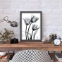    - X-Ray Flowers