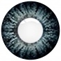      "ADRIA Two-Color" Glamorous Gray ()