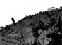    / Tokyo Ghoul  7.  13  14