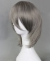 ������� ����� China Project - Luo Tianyi