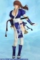 Dead or Alive 5 Kasumi