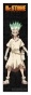 �������� Dr. Stone Senkuu Ishigami