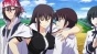 Maji de Watashi ni Koi Shinasai!! (  ) MPEG4