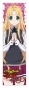 �������� High School DxD Hero Asia Argento