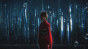 Boundary of Emptiness: A Study in Murder (Part 2) ( :   ( ))