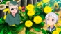 Upotte!! ( ) HD