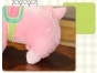 ������ ������� Alpaca Vicugna Pacos �������