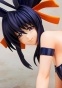 High School D X D - Himejima Akeno Bunny Ver.