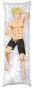 ��������� ���������� �� ������� ��������� Fairy Tail �4