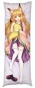 ��������� ���������� ������� � �������� - Holo �3