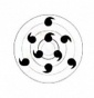      "G&G" Sclera Rinnegan -  