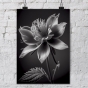     - Black & White Flowers