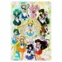  Bishoujo Senshi Sailor Moon / -      ( A3, 252 