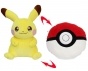 ������ �������-������� Pokemon