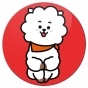 ������ ��������� ������� BT21 - RJ