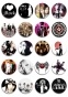   J-Rock