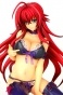 High School DxD - Rias Gremory Premium ver.