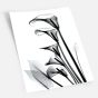     - X-Ray Flowers