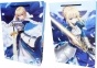   Fate Stay Night GB74373