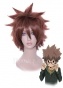 ������� ����� Hitman Reborn Sawada Tsunayoshi 51826