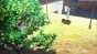 Michiko and Hatchin (  )