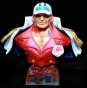 ������� - ���� ������ One Piece Sakazuki