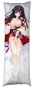 ��������� ���������� �� ������� ��������� "Kantai Collection" Akagi