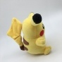 ������ ������� Pokemon (18��)