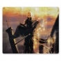    Final Fantasy 5619
