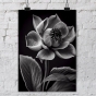     - Black & White Flowers