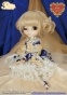  P-163 Pullip La robe vert bleu royal