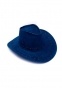  Blue Cowboy Hat