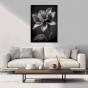     - Black & White Flowers