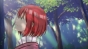    -1 / Akagami no Shirayuki-hime TV-1 [12  12] TV (720p)