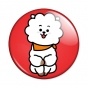 ������ BT21 - RJ