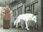 Wolfs Rain (������ �����) MPEG4