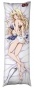 ��������� ���������� �� ������� ��������� Kuroinu - Alicia