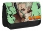   Dr. Stone Senkuu Ishigami